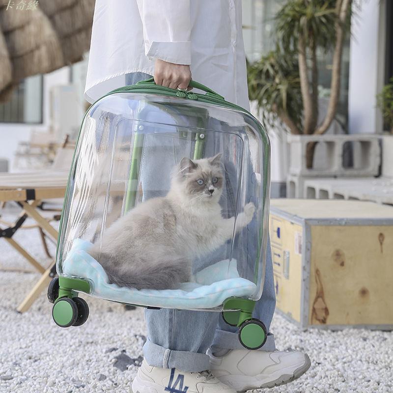 寵物拉桿箱清倉兩只外出手提大容量家用便攜貓咪透氣透明狗航空箱