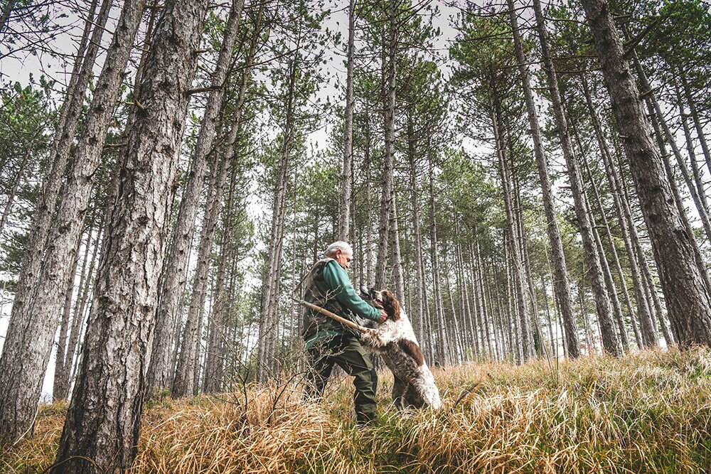 【綠橄欖】Giuliano 奇里安諾黑松露醬180gx2+送黑松露醬80gx2 2