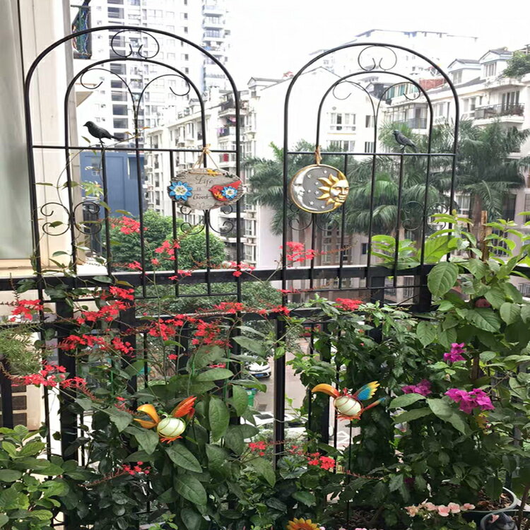 爬藤花架 攀爬架 花架 鐵線蓮爬藤架花架戶外月季花種菜黃瓜鐵藝薔薇植物攀爬架白色柵欄『XY39374』 2