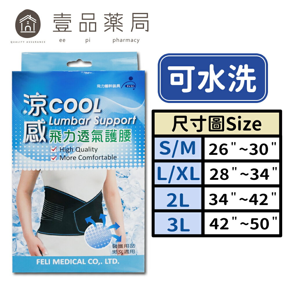 【飛力】涼感透氣護腰 單入 MIT台灣製造 涼感紗材質 透氣不悶熱 人體工學設計【壹品藥局】