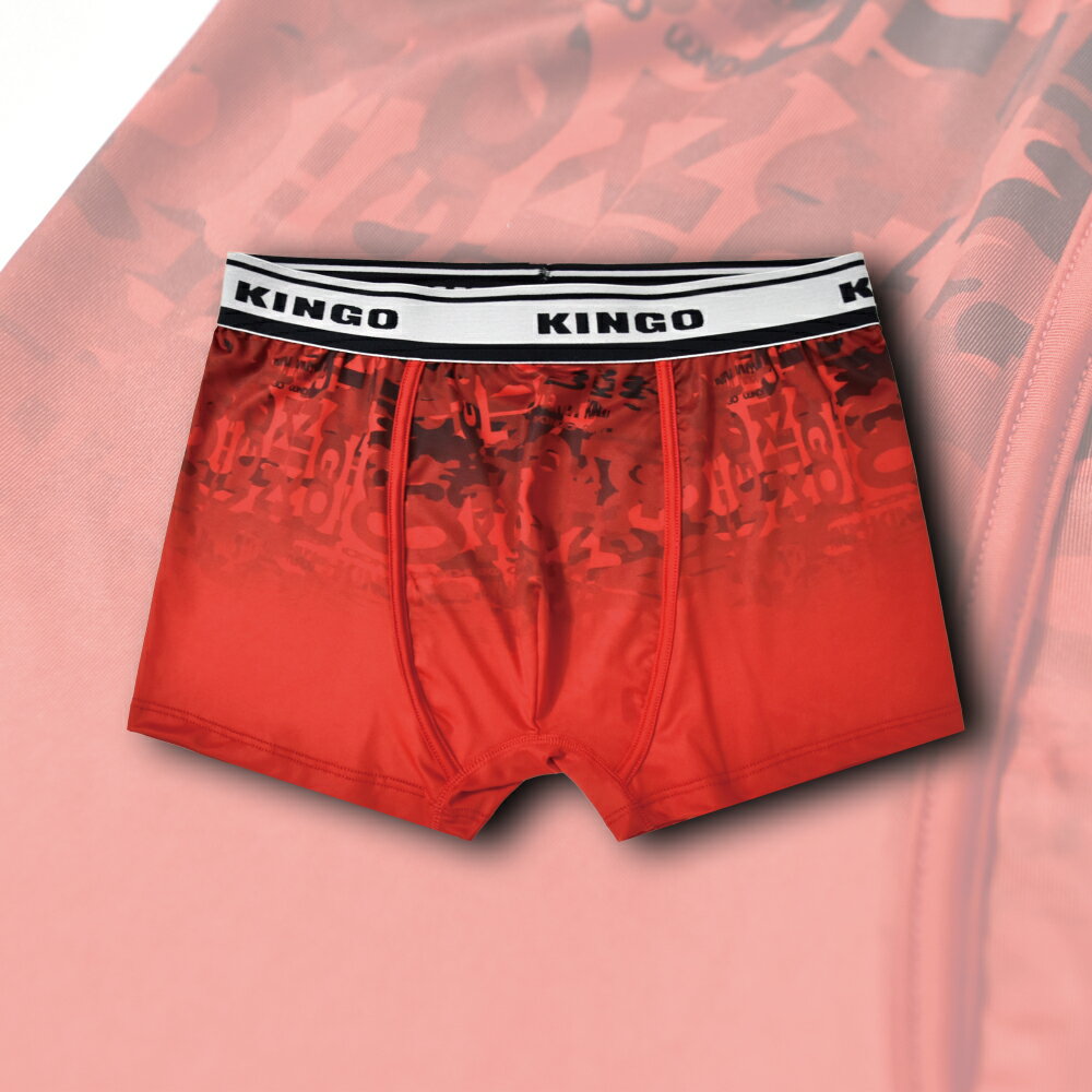 KINGO男款｜快乾涼感合身內褲 /M-XL/ 541922