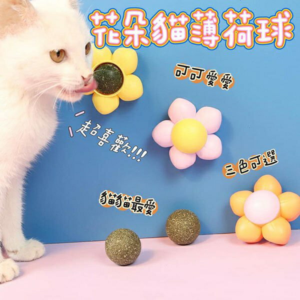 『臺灣x現貨秒出』花朵造型貓薄荷球 旋轉貓薄荷球 貓咪玩具 貓玩具 寵物玩具 貓貓玩具