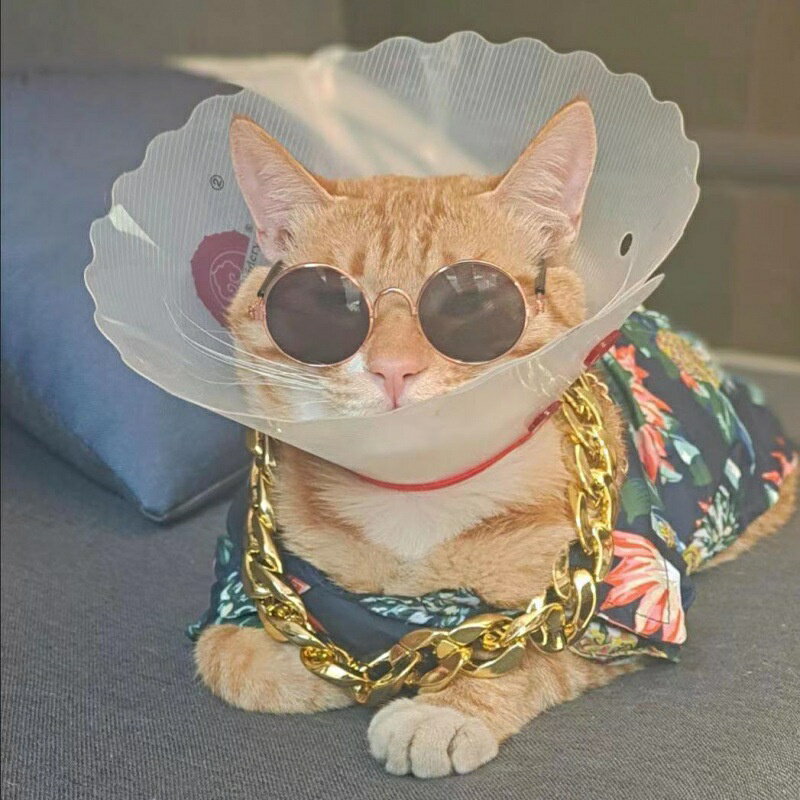 法鬥項鍊 狗狗項鍊 寵物項鍊 惡霸項鍊 比特項鍊 6