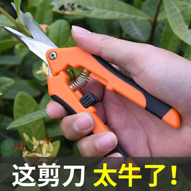 家用剪刀樹枝剪手工小型花枝剪果樹修枝剪刀園藝省力修花枝剪家用