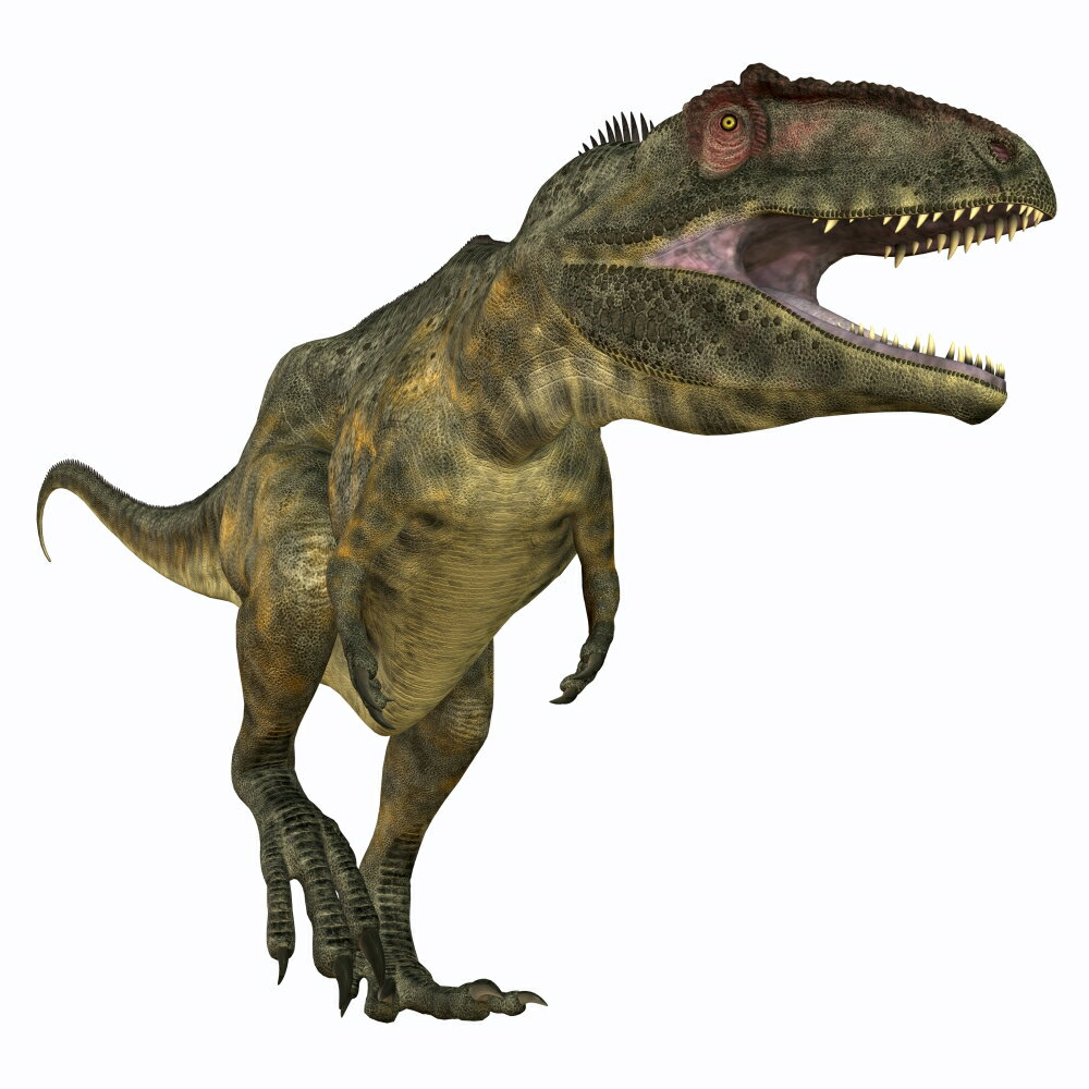 Giganotosaurus dinosaur king