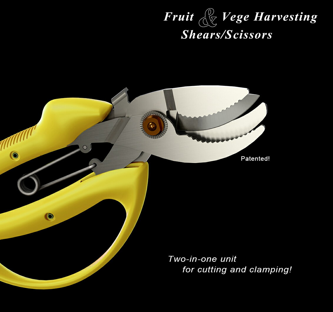 園藝花藝修枝採果剪刀 專業日本不鏽鋼材質四刀片設計 NS-星之果 3