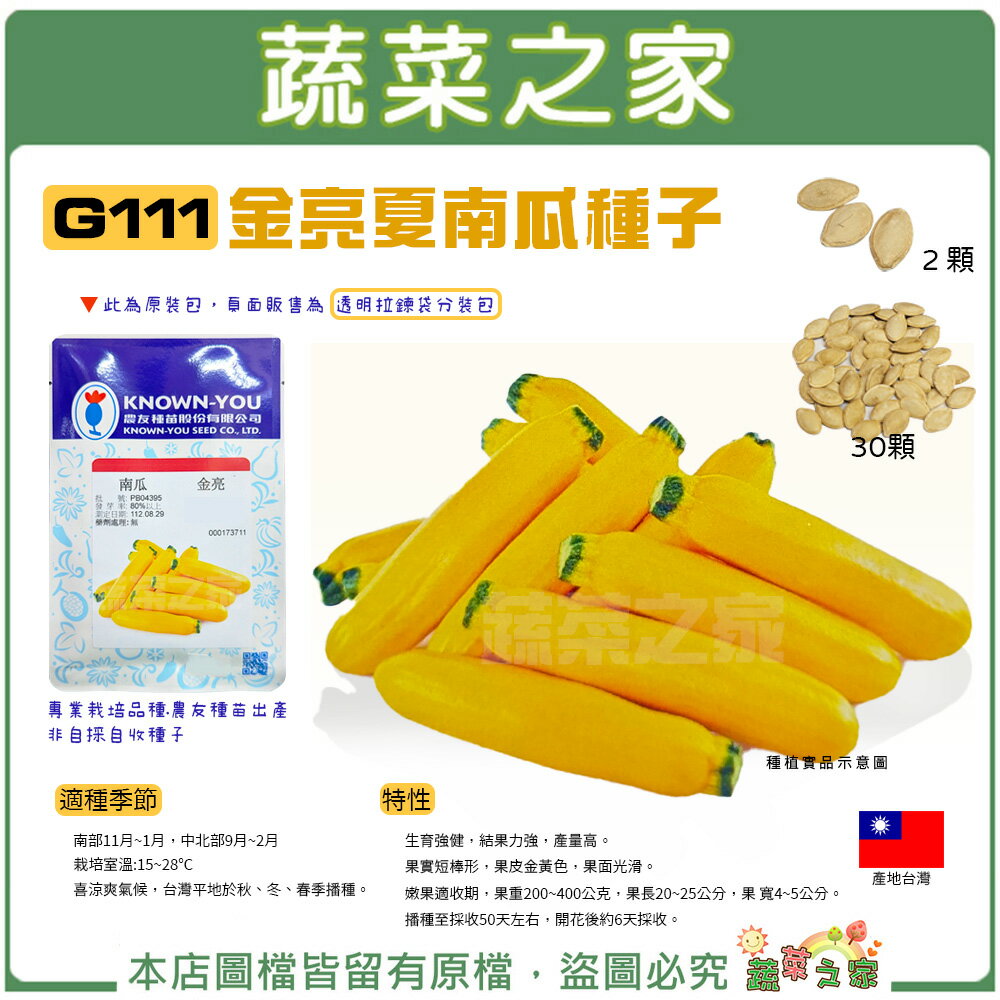 【蔬菜之家】G111.金亮夏南瓜種子(櫛瓜) (2種規格可選) 較耐高溫，可單為結果 生育強健，結果力強，產量高
