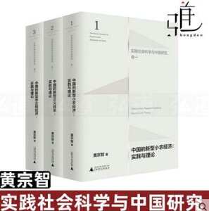 【最低價】【公司貨】黃宗智·“實踐社會科學與中國研究”三卷本