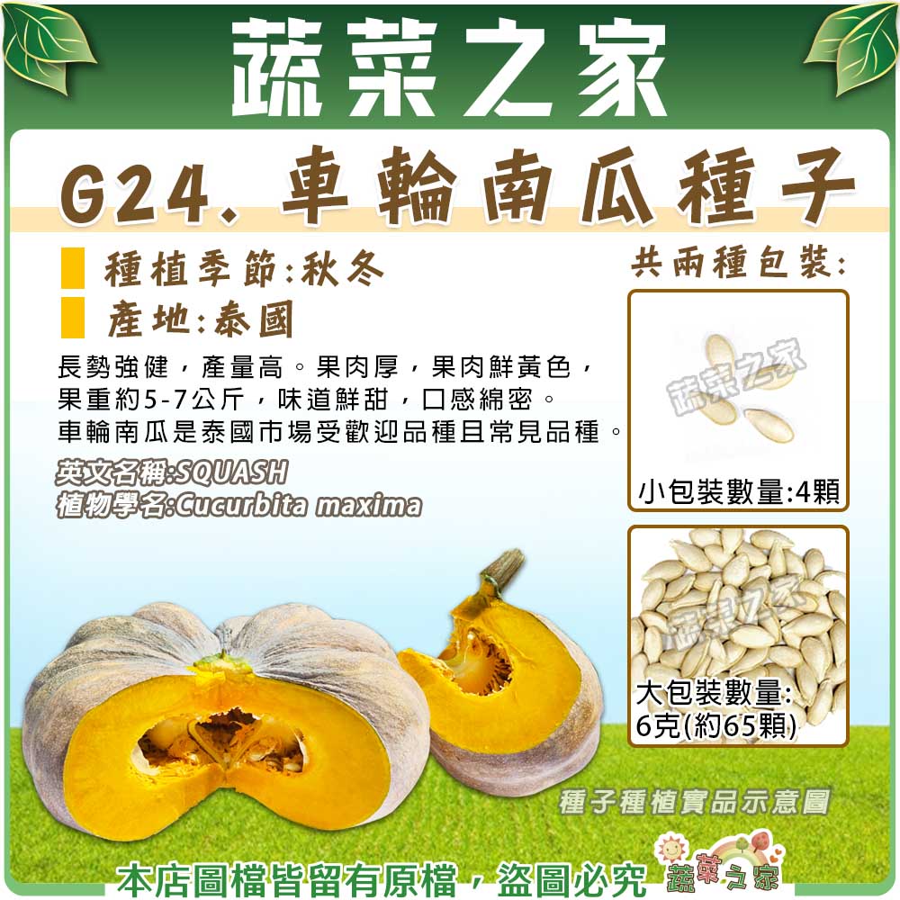 【蔬菜之家】G24.車輪南瓜種子(共兩種包裝可選)