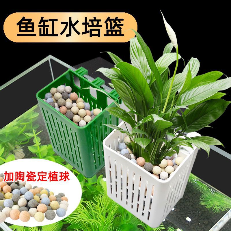 魚缸水培植物籃細菌球家用壁掛式植物定植籃魚缸造景裝飾配件定植#滿200出貨