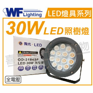 舞光 OD-3184SP LED 30W 3000K 黃光 15度 IP66 全電壓 洗柱燈 照樹燈 _ WF430922