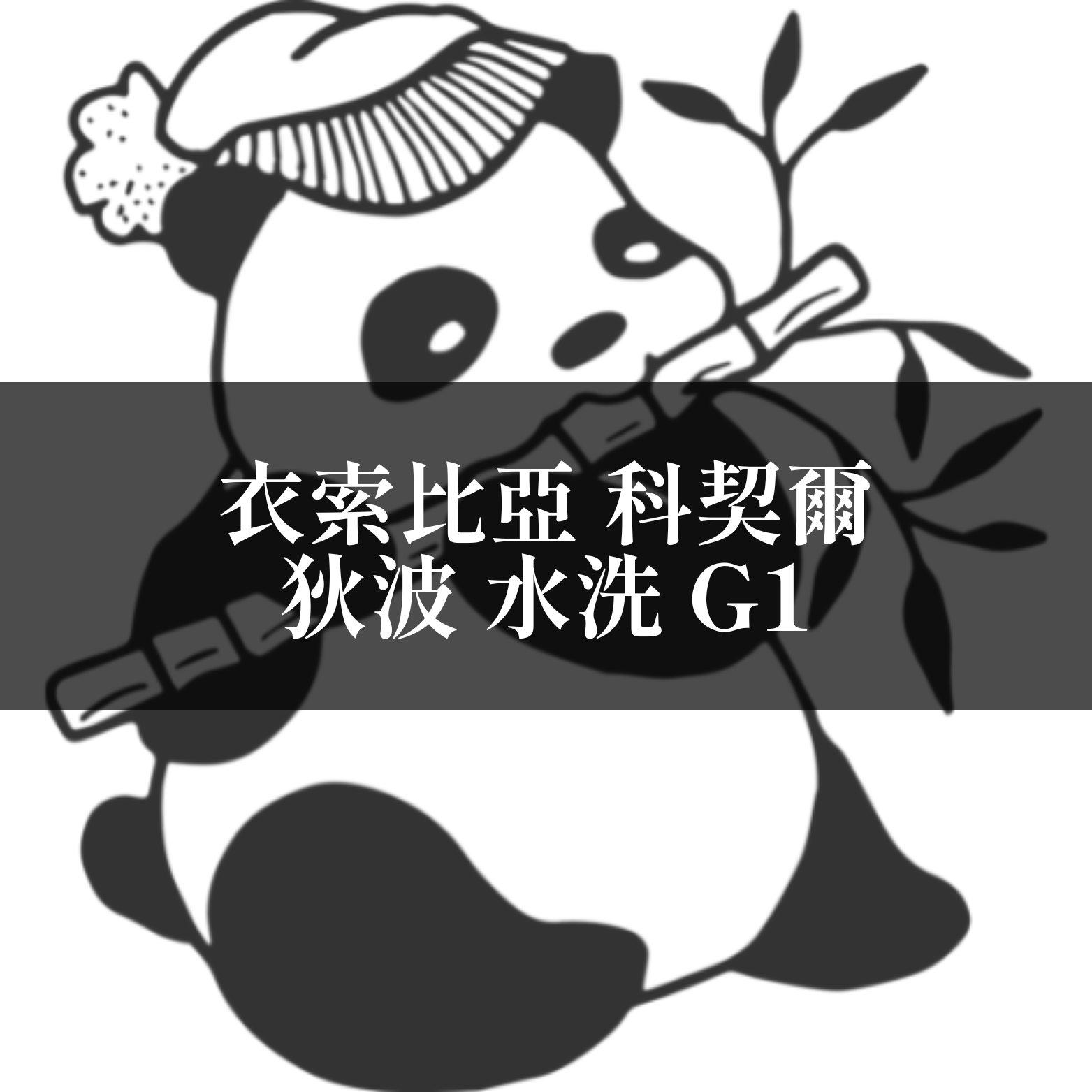 【咖啡匙 咖啡豆】衣索比亞 科契爾 狄波 水洗 G1 120克/包（約1/4磅）