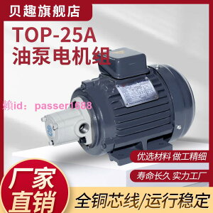 [可開發票]液壓精密齒輪泵TOP-20 TOP-25AVB大流量大吸力油泵電機組220V380V
