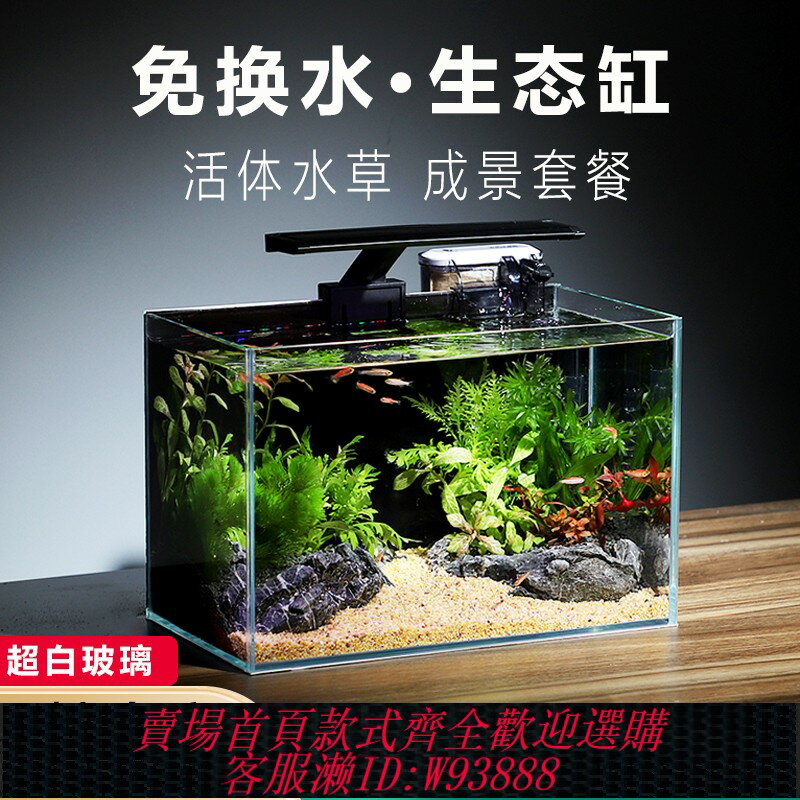 {臺灣公司貨 可打統編}魚缸客廳小型生態造景全套桌上小魚缸桌面電視櫃旁家用免換水超白