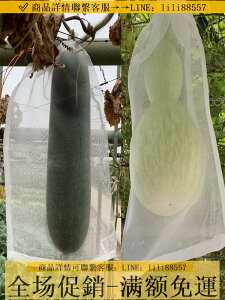 防鳥網~加密紗網袋套水果的袋子苦瓜防蟲袋黃瓜蔬菜防鳥罩防蚊蟲絲瓜套袋