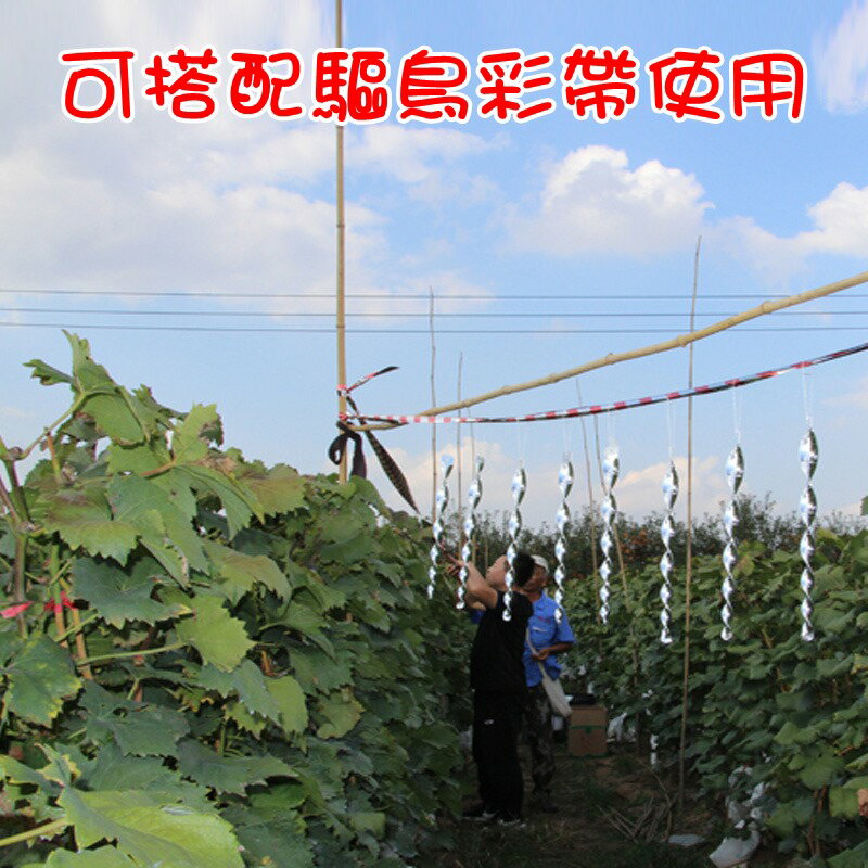 【珍愛頌】N183 滿10支送彩帶 驅鳥神器 螺旋風轉 驅鳥棒 螺旋棒 閃光 果園 菜園 防鳥 嚇鳥 趕鳥 會場佈置 庭院佈置 趕鳥器 5
