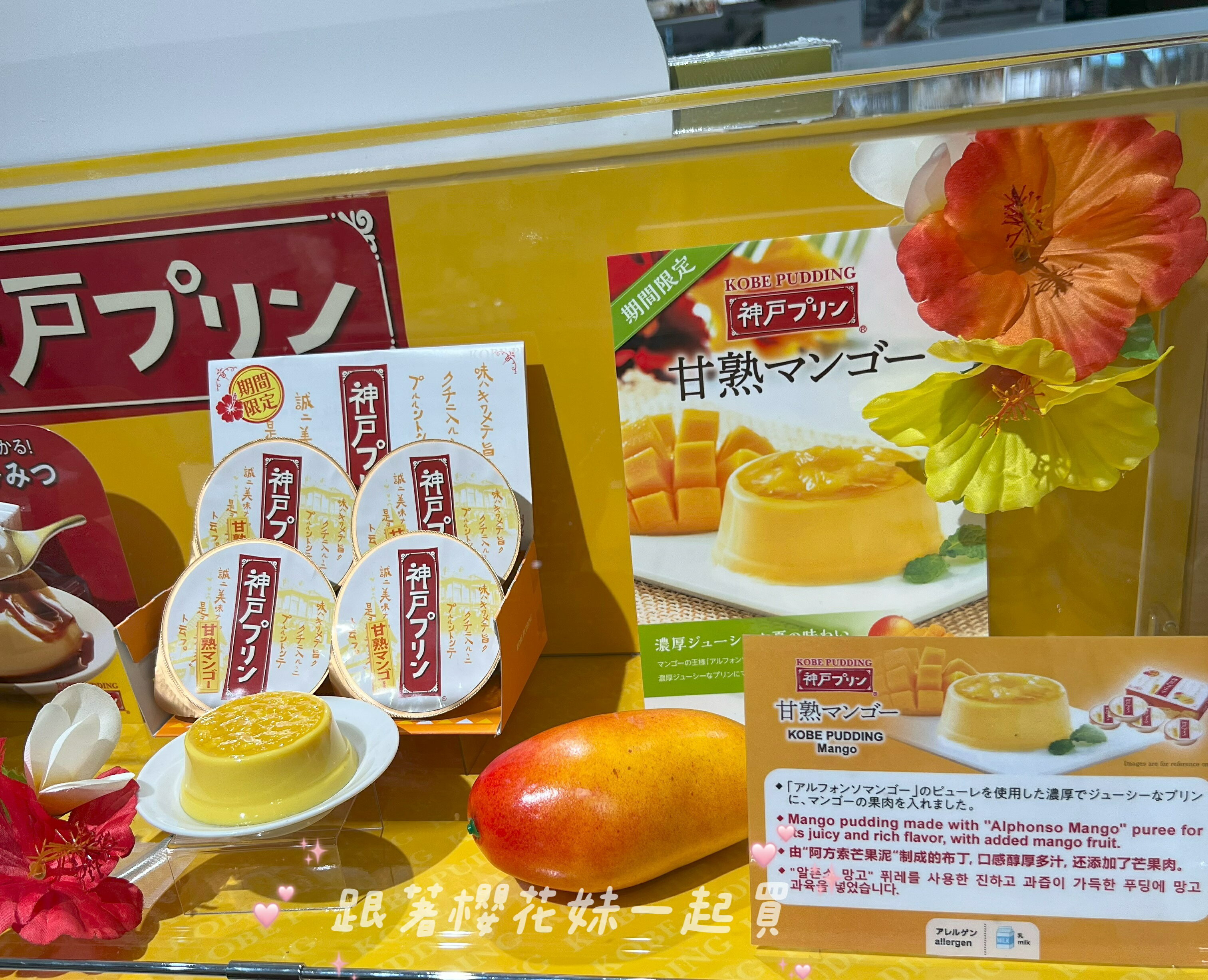 日本TORAKU 神戶布丁 神戶特產 焦糖布丁 2