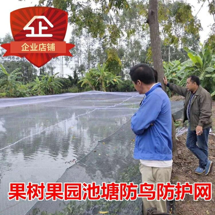 防鳥網 尼龍防鳥網天網果園果樹網稻穀櫻桃葡萄魚塘防護網水產養殖網 閒庭美家
