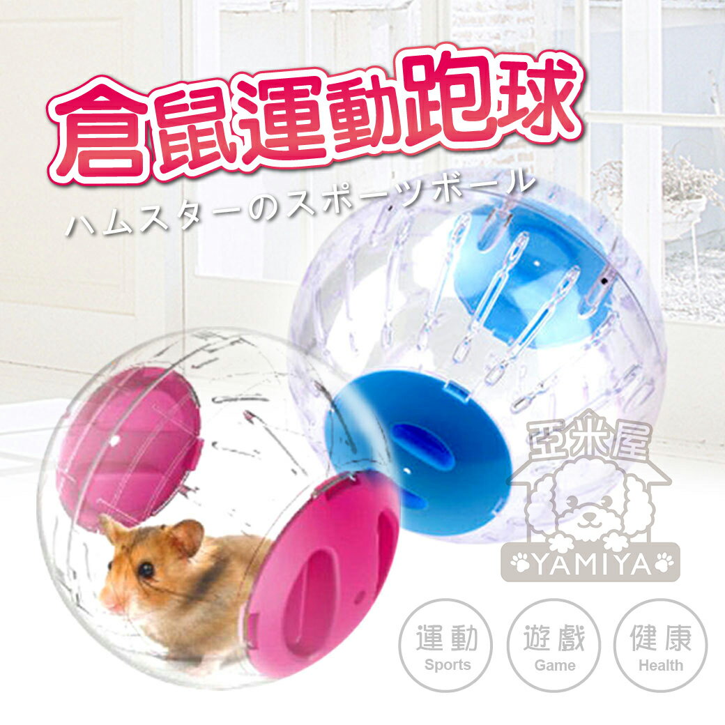 Carno卡諾小倉鼠跑球18.5cm 倉鼠寵物用品玩具滾球 運動水晶跑球 滾球運動 健身運動《亞米屋Yamiya》