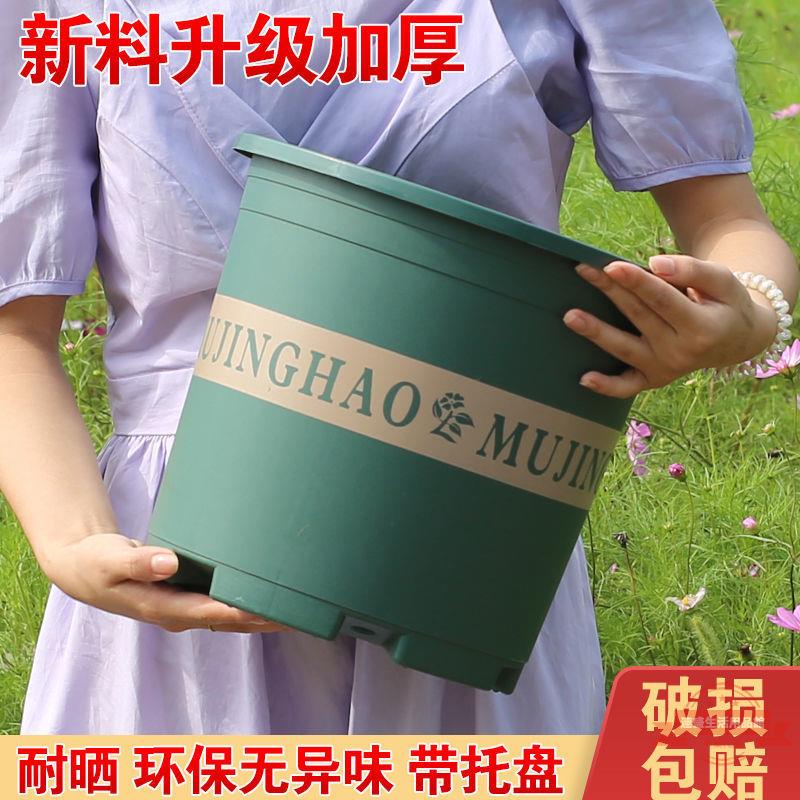 加侖花盆批發加厚塑膠花卉綠蘿月季多肉陽臺廠家直銷獨立站亞馬遜