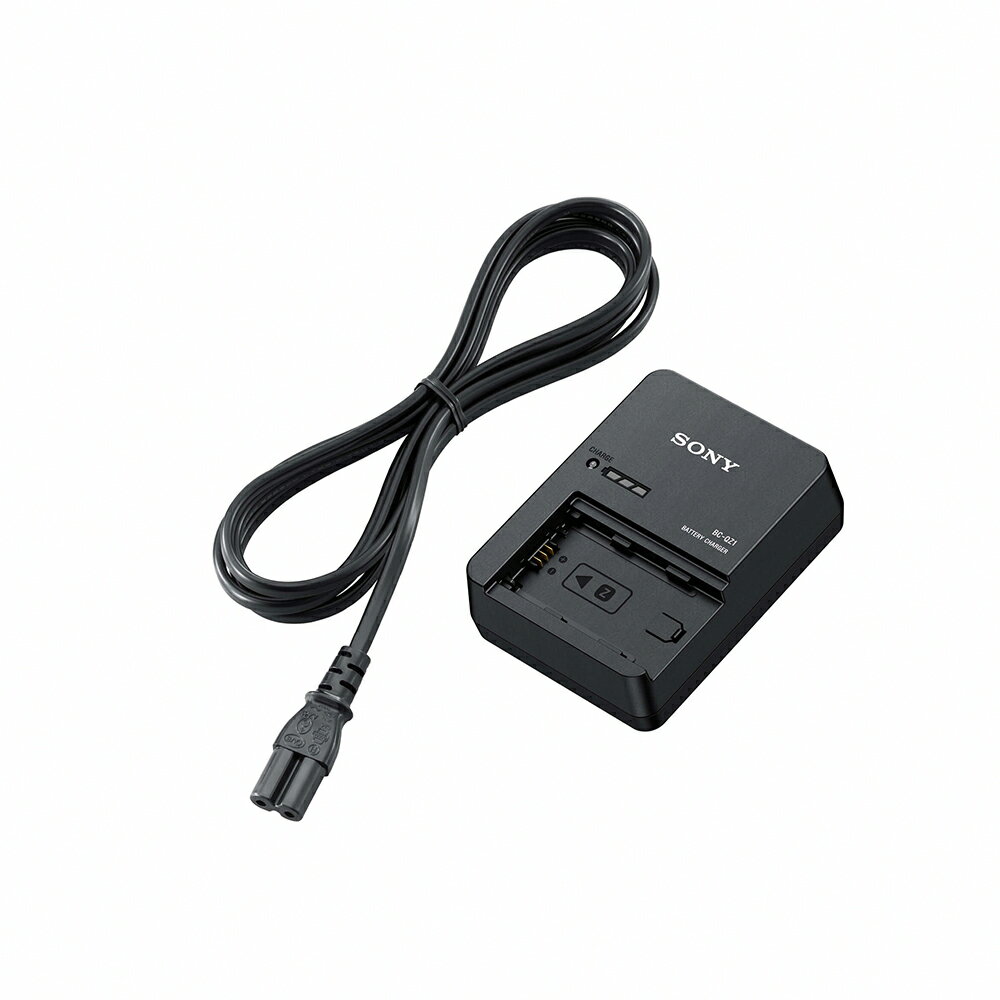 限時★.. Sony BC-QZ1 原廠充電器 For NP-FZ100 鋰電池 公司貨 SONY-BC-QZ1【夏日限時 全館點數5倍送】
