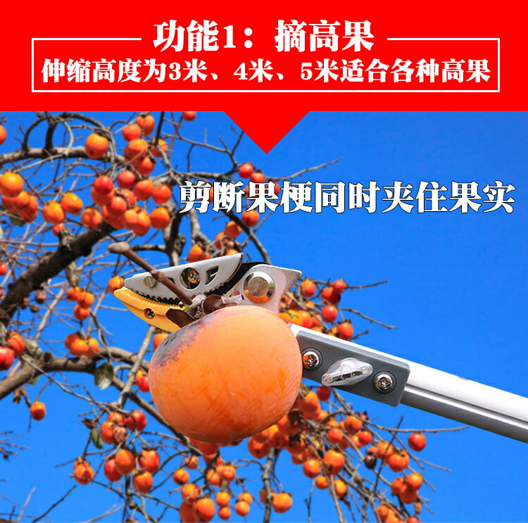 高枝剪摘果剪刀果樹修枝伸縮摘果器摘荔枝龍眼剪加長高空摘果神器 99購物節