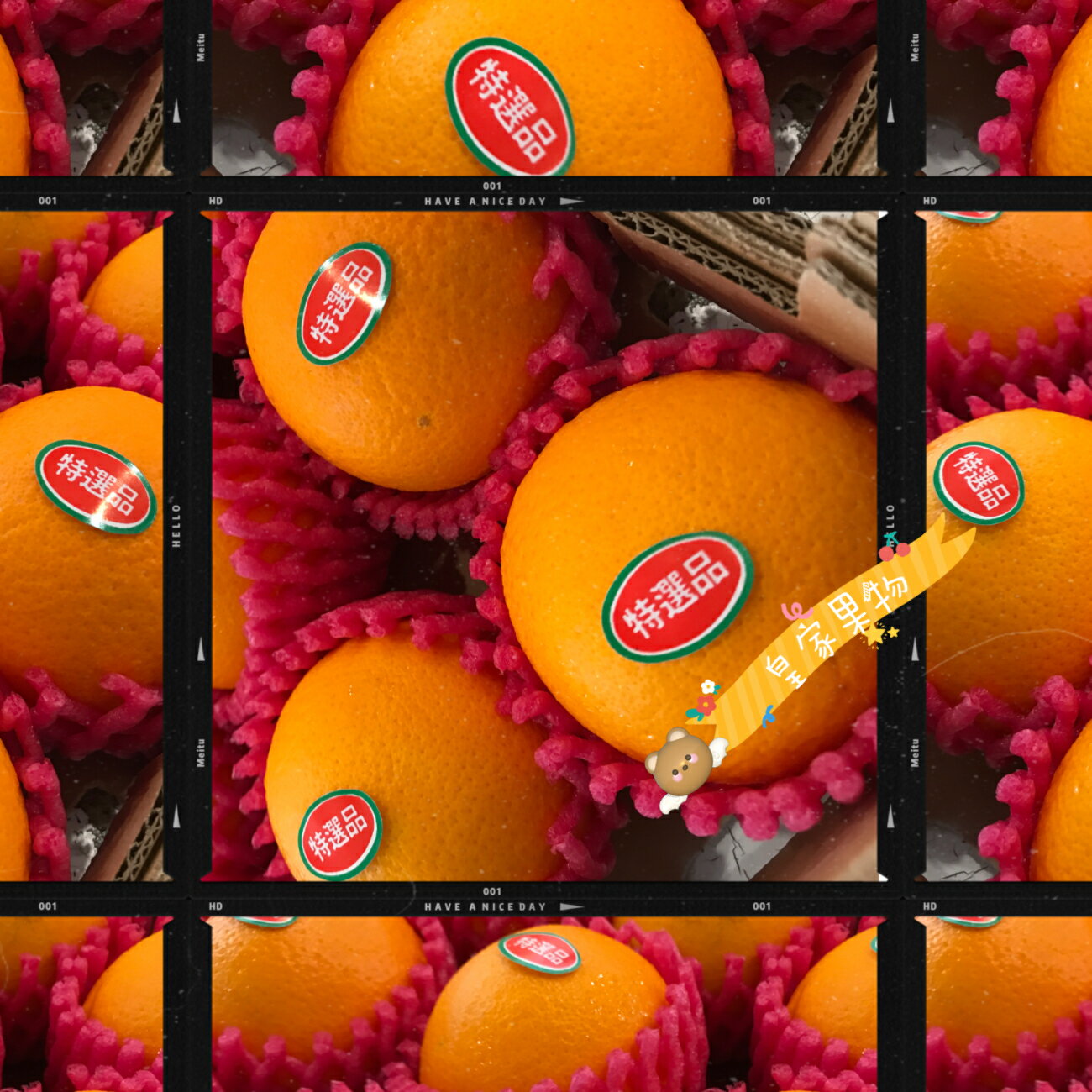 金太陽無籽甜橙中顆整箱買50入/分裝試嚐箱12入/家庭箱25入/精緻禮盒附提袋12入【皇家果物】免運 2