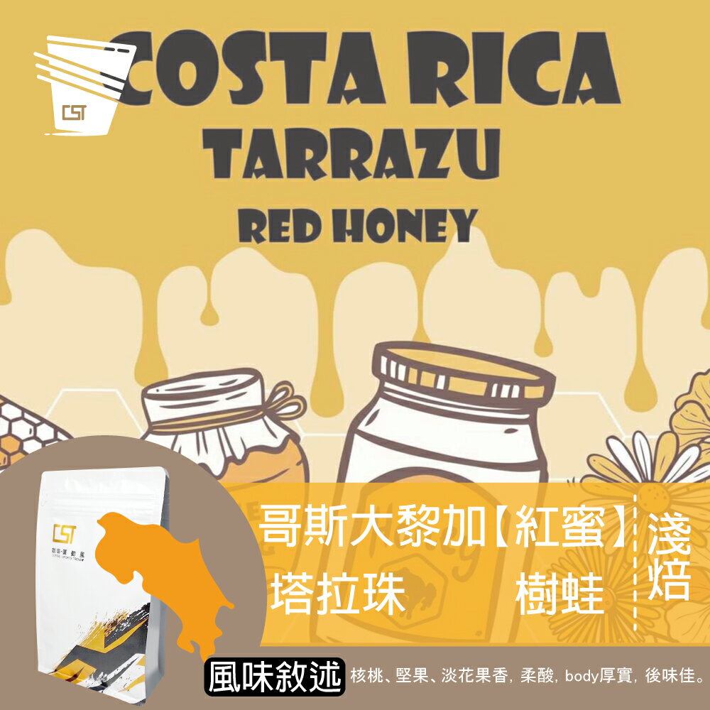 咖啡豆 濾掛 耳掛 浸泡 冰釀 咖啡 CST-501 哥斯大黎加 塔拉珠 樹蛙 紅蜜處理 Costa Rica Tarrazu Tree Frog Red Honey (3種規格可選)