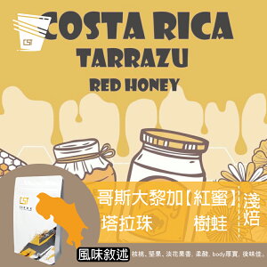 咖啡豆 濾掛 耳掛 浸泡 冰釀 咖啡 CST-501 哥斯大黎加 塔拉珠 樹蛙 紅蜜處理 Costa Rica Tarrazu Tree Frog Red Honey (3種規格可選)