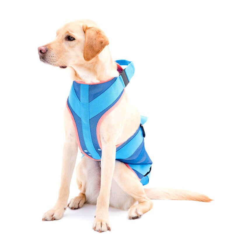 Lalawalk 中大型犬步行輔助帶 清涼網布 老犬 輔助介護 藍色尾巴bluetail Rakuten樂天市場