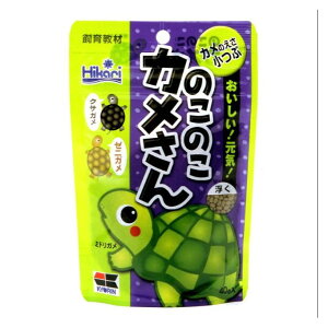 高夠力 飼育教材-澤龜飼料 40g 烏龜飼料 日本
