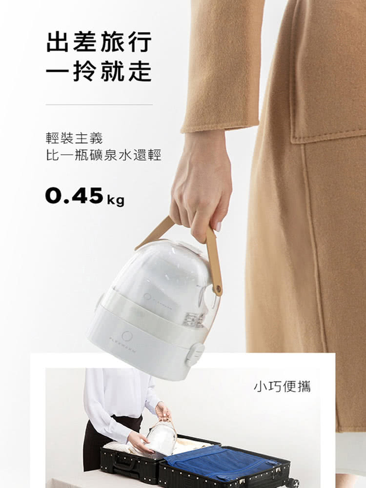 Flexwarm 飛樂思小遊龍奈米蒸汽熨燙機(9908)