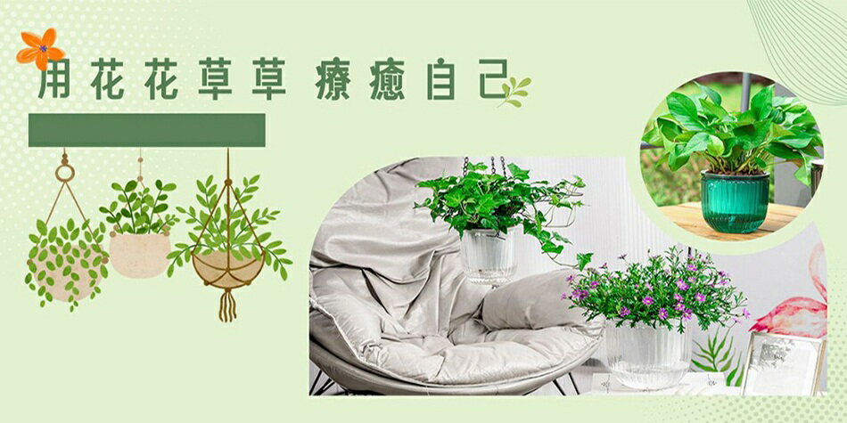 Mycolor