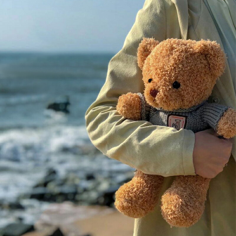 大泰迪熊公仔抱抱熊小熊熊玩偶毛絨玩具兒童節娃娃禮物送女友孩子