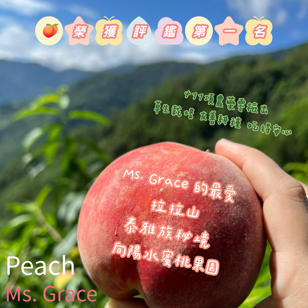 2026/7月 夏季預購 拉拉山 極品水蜜桃 免運