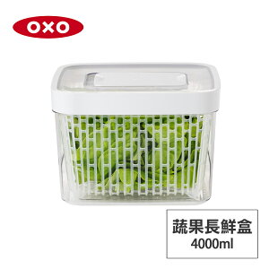 美國OXO 蔬果活性碳長鮮盒-4L 01040140
