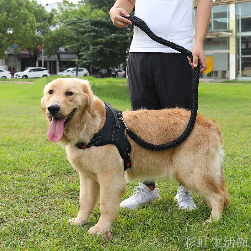 狗狗牽引繩胸背帶金毛拉布拉多中大型犬狗鏈子加粗八股狗繩防爆沖