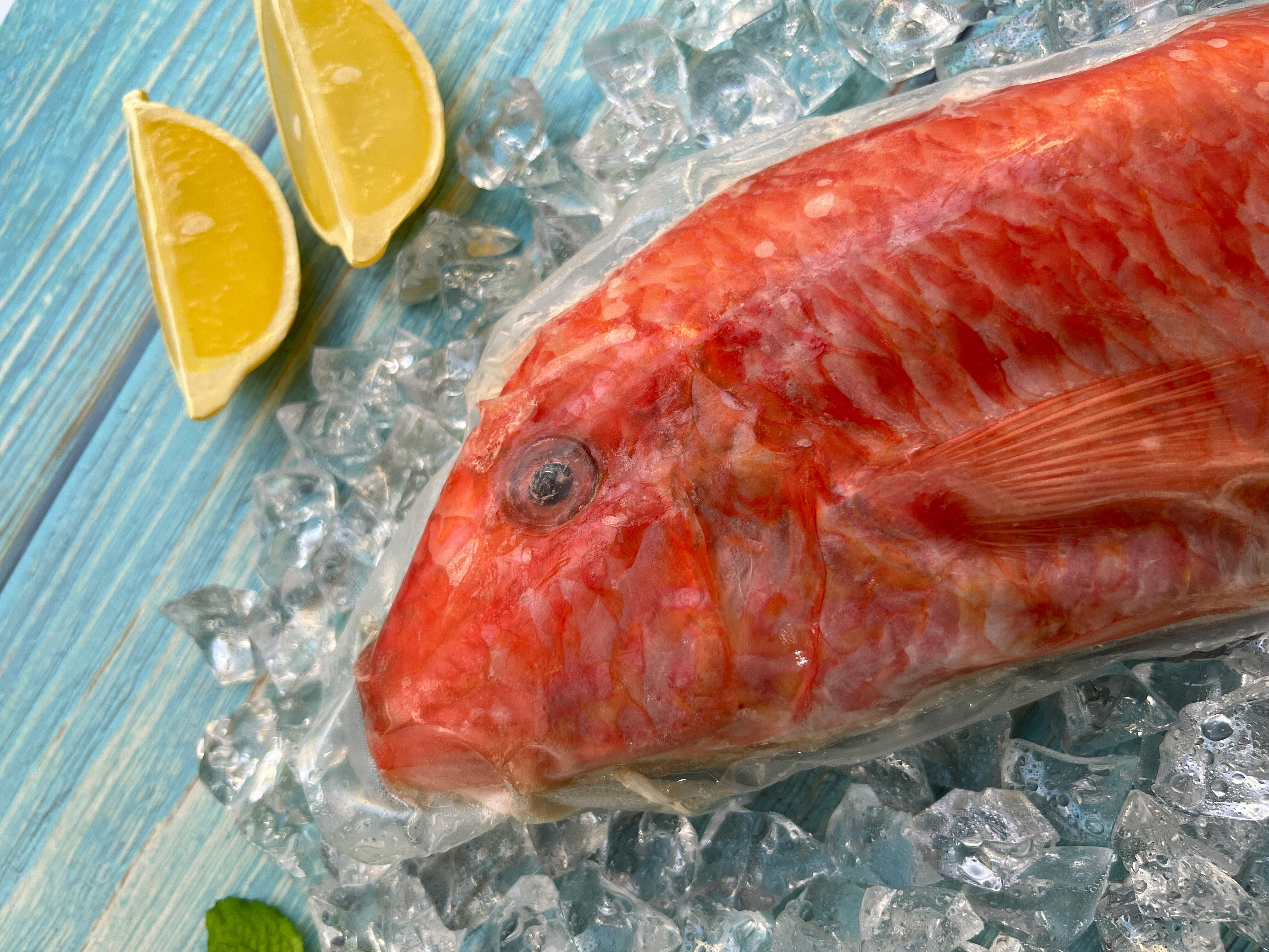 【亮生鮮】澎湖現流秋姑/野生鮮魚 420g±3% 2