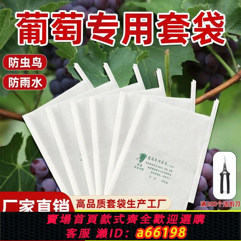 【臺灣公司 可開發票】葡萄套袋專用紙袋防鳥防蟲水果防雨水套葡萄的專用的袋子