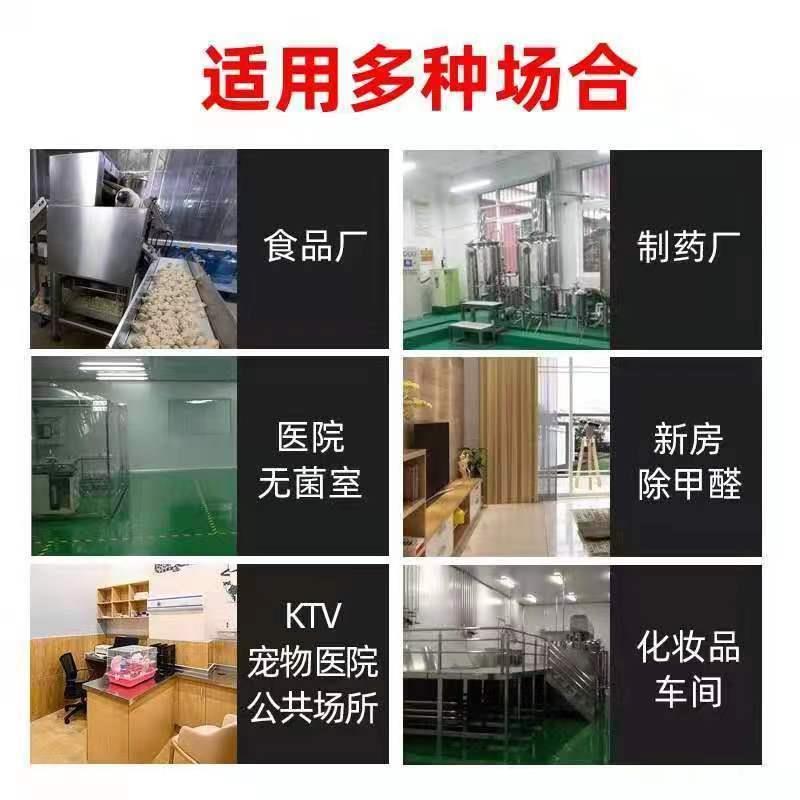 臭氧消毒機發生器新房裝修家用除甲醛空氣凈化器汽車內載殺菌直銷