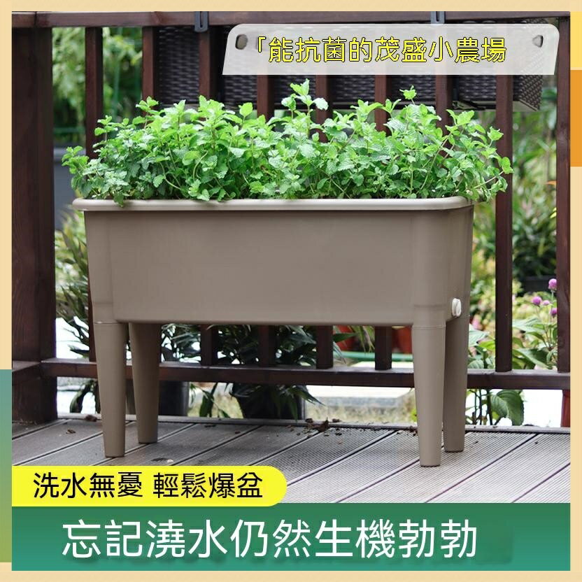 【開立發票】陽臺種植箱2023種植盆高腳長方形花盆樓頂花箱種菜神器蔬菜菜