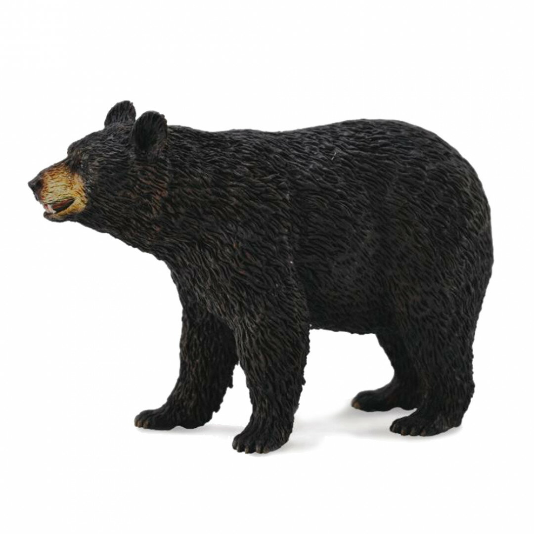 動物模型《 COLLECTA 》美洲黑熊