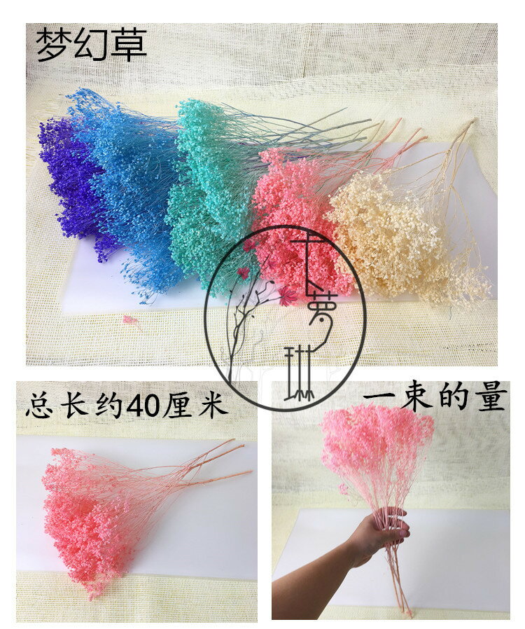 卡蘿琳木滿天星小花束天然干花百萬星霞草自然干草夢幻草滿天星1入 銀聯網日用品生活館 樂天市場rakuten 卡蘿琳木滿天星小花束天然干花百萬星霞草自然干草夢幻草滿天星1入 銀聯網日用品生活館 樂天市場rakuten