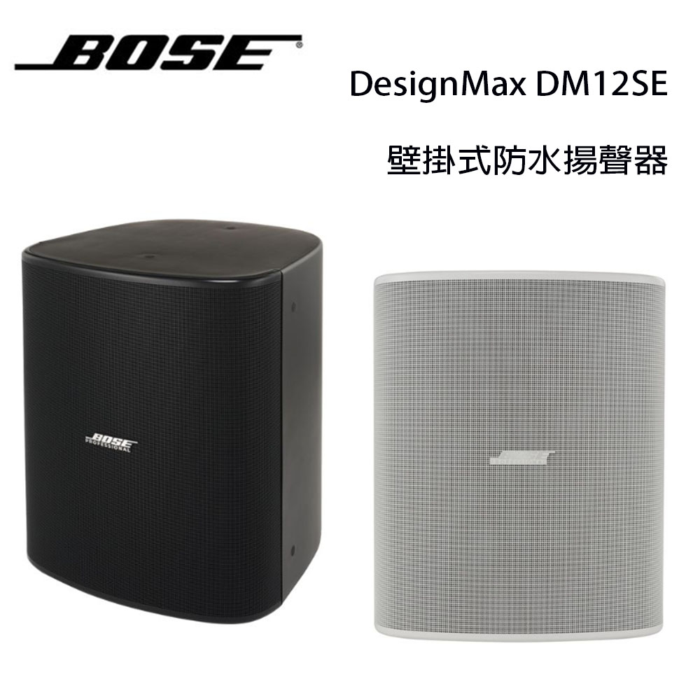 【澄名影音展場】美國 BOSE FDesignMax DM12SE 300W 壁掛式防水揚聲器/只 公司貨