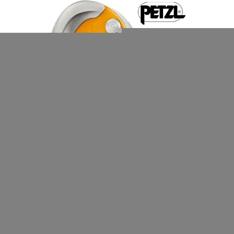 Petzl RIG 輕便型 自我制動下降器/確保器/制動器 D021AA00 新版