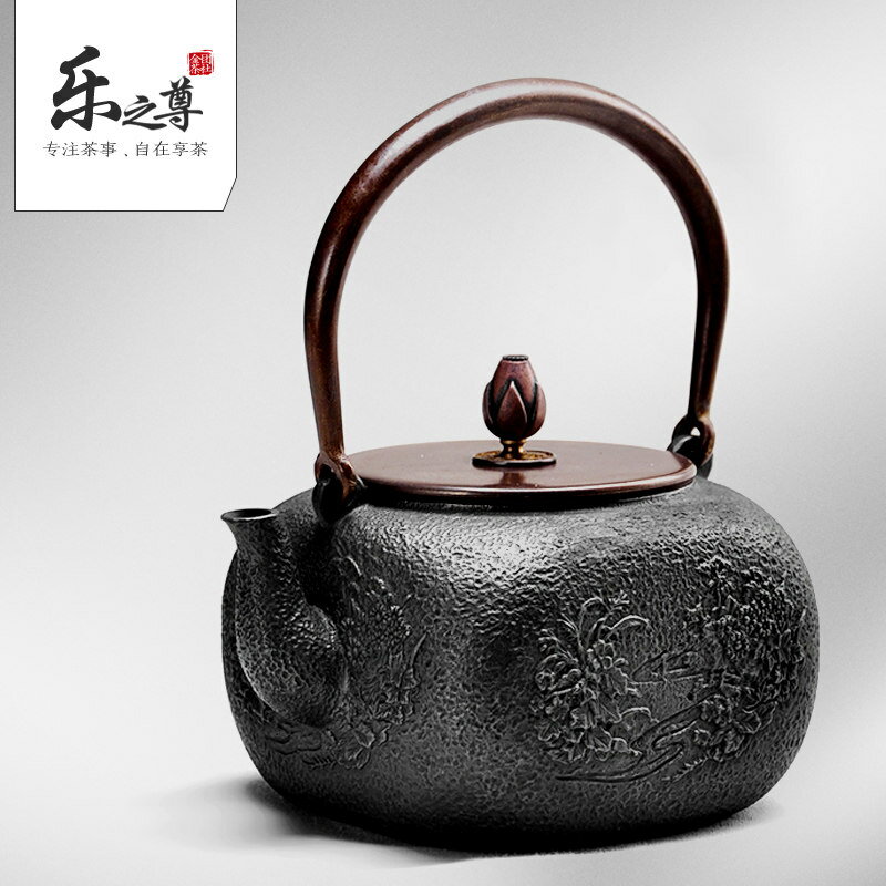 生鐵壺老鐵壺煮茶鑄鐵壺無涂層日式鐵壺功夫茶壺茶具燒水壺泡茶壺