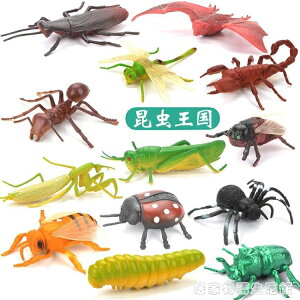 兒童昆蟲玩具塑膠仿真動物模型蜘蛛蝴蝶蜜蜂蜈蚣螞蟻大小擺件套裝 免運開發票