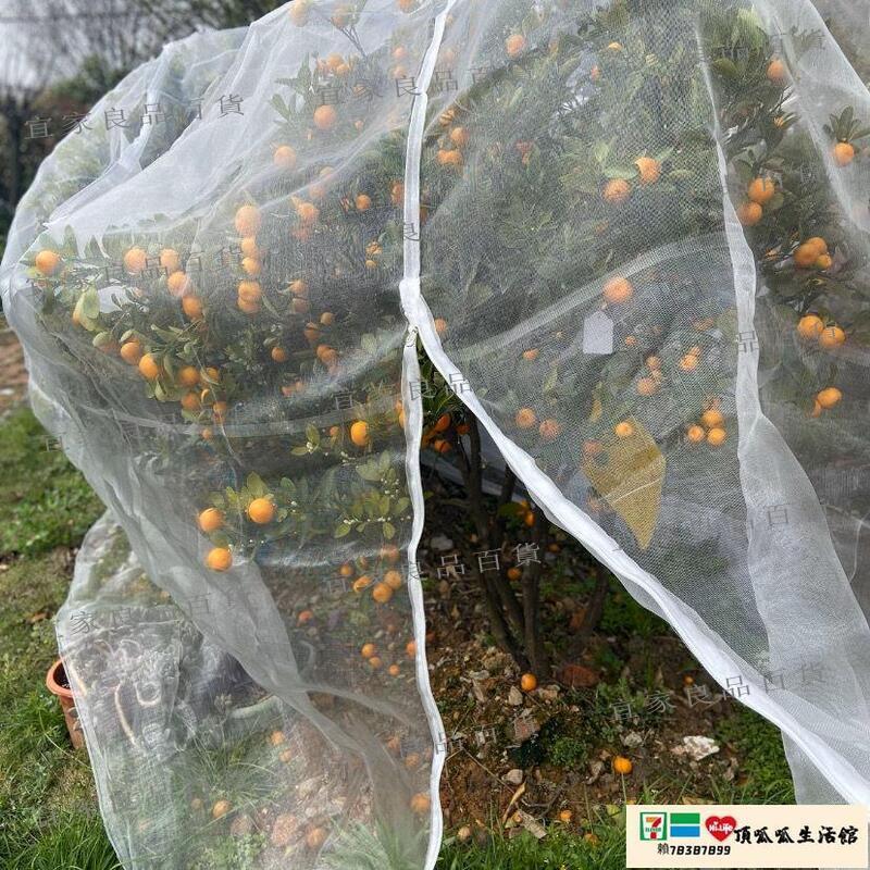 【宜家良品百貨】防鳥網 楊梅網罩蓮霧網果樹防蟲網防鳥櫻桃網羅幔蚊帳蔬菜大棚網防蟲網罩