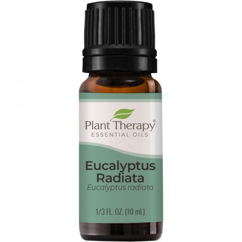 澳洲尤加利精油 Eucalyptus Radiata Essential Oil 10 mL ｜美國 Plant Therapy 精油
