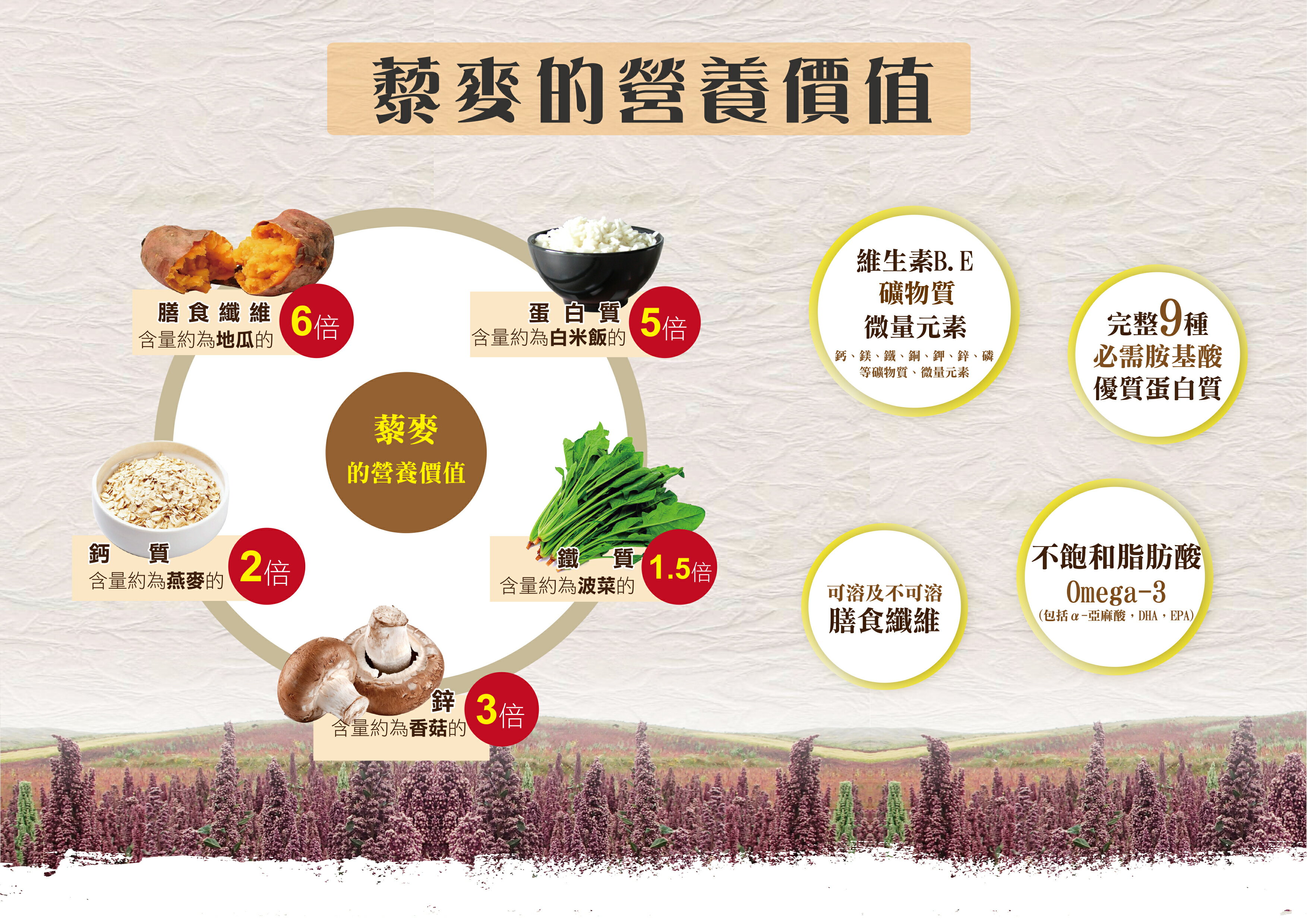 【smile99】藜麥蕃茄圓餅 (15gx10入/包) 純素 非油炸 5